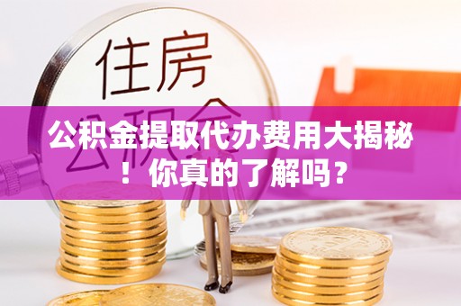 保定公积金提取代办费用大揭秘！你真的了解吗？