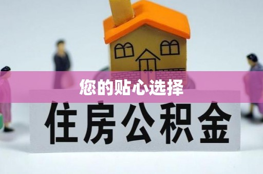保定您的贴心选择