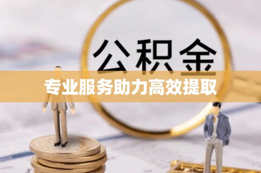 保定专业服务助力高效提取
