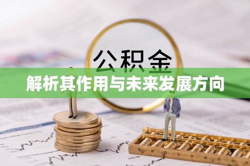 保定解析其作用与未来发展方向