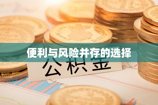 保定便利与风险并存的选择